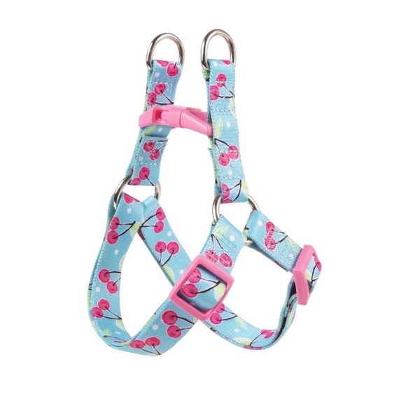Vibrant Life Other - Vibrant Life Patterned Step-In Dog Harness, Teal Cherry, Small